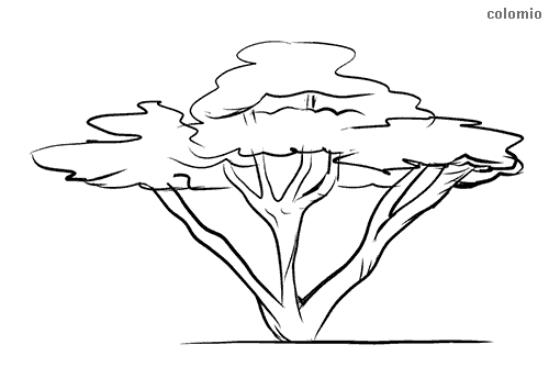 Dibujos de ãrbol para colorear imãgen de ãrbol para colorear