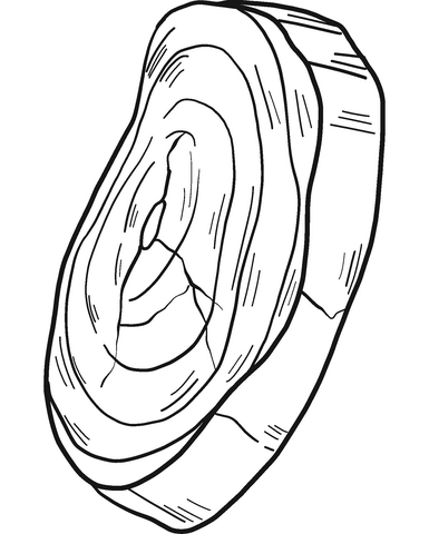 Dibujo de tronco de arbol para colorear dibujos para colorear imprimir gratis