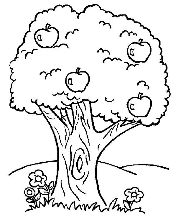 Dibujos pa colore ãrboles