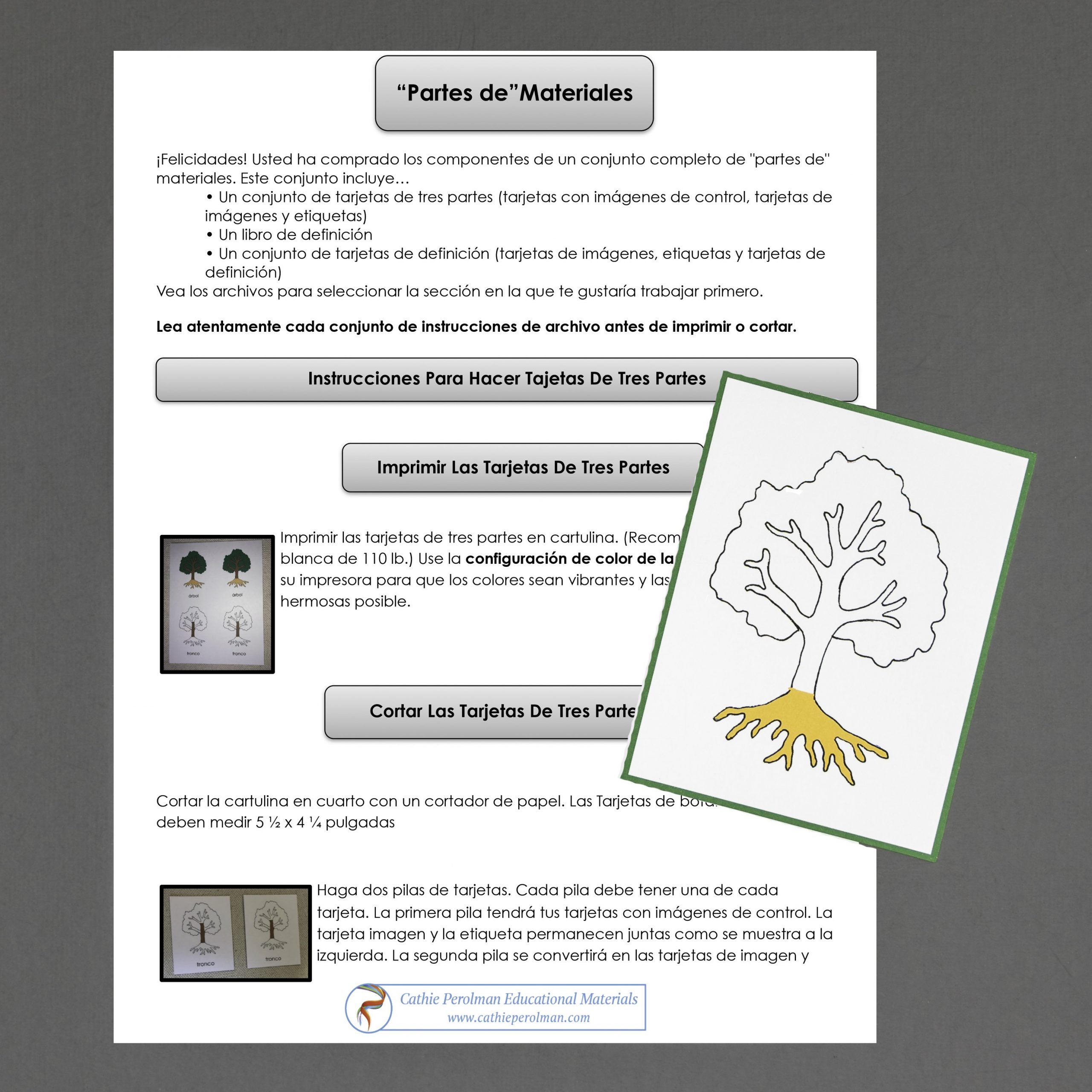 Spanish parts of the tree plete nomenclature set