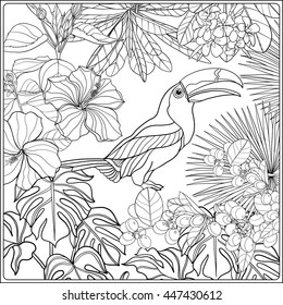 Thousand coloring page tropical birds royalty