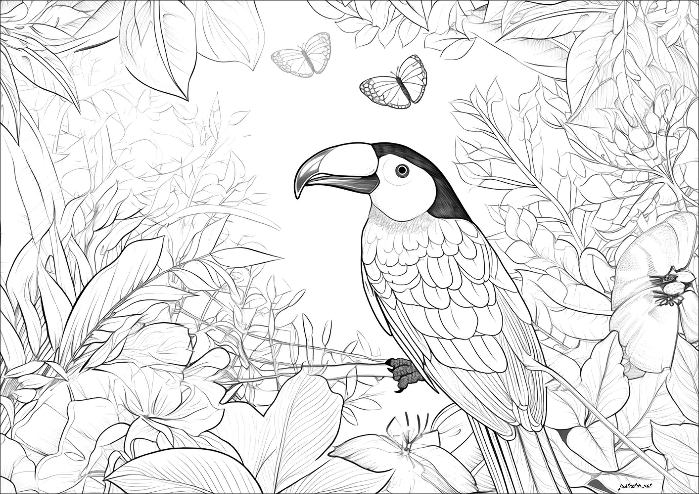 Tropical bird and pretty vegetation
