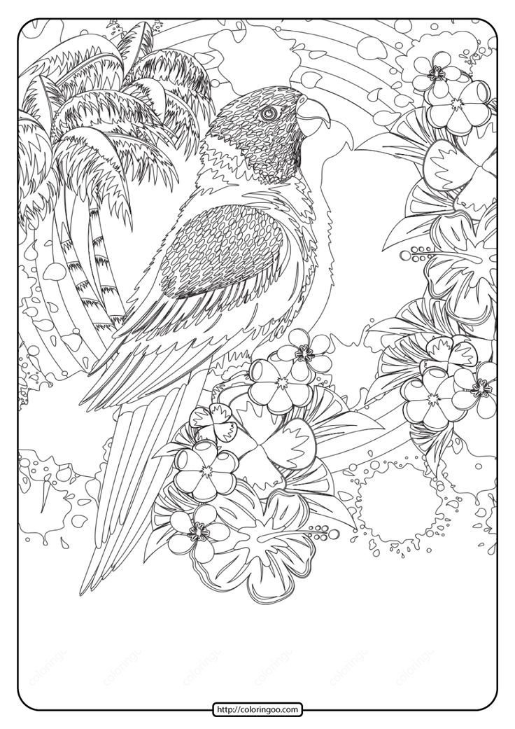 Free printable tropical bird pdf coloring page coloring pages bird coloring pages cute coloring pages