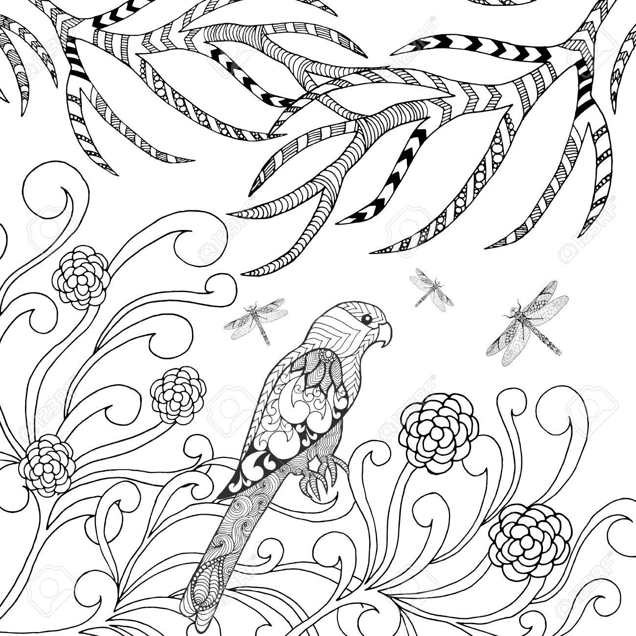 Tropical parrot bird coloring page stock photo picture and royalty free image image