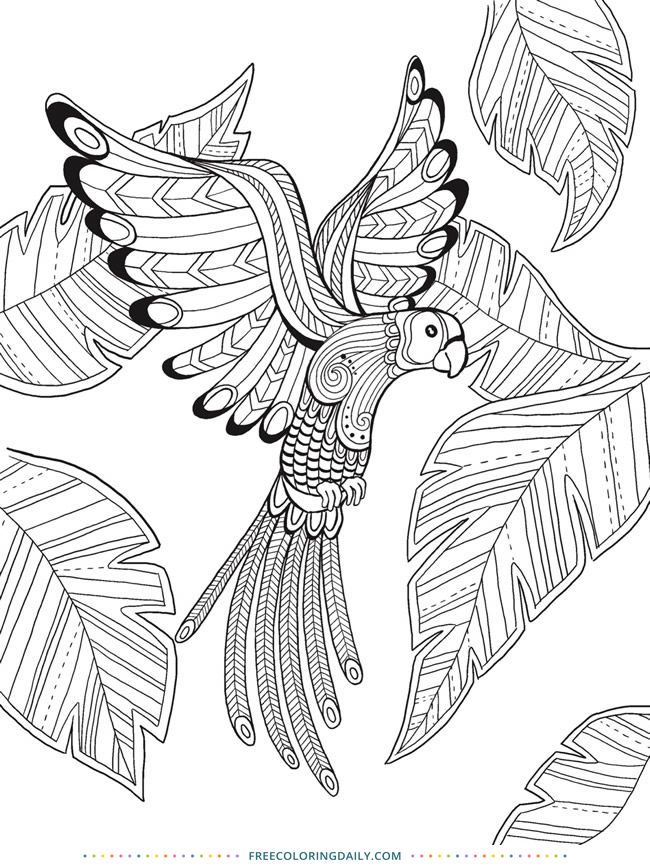 Free coloring tropical bird bird coloring pages animal coloring pages mandala coloring pages