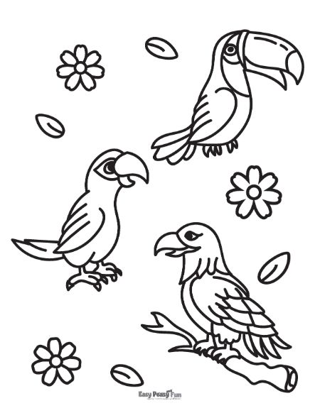 Printable bird coloring pages