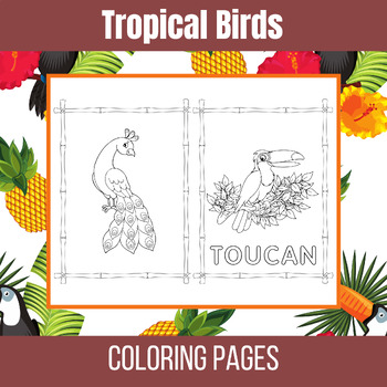 Tropical birds coloring pages bird drawings to color tpt