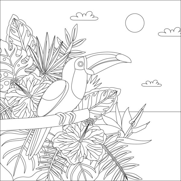 Tropical bird coloring page bird coloring pages coloring pictures coloring pages
