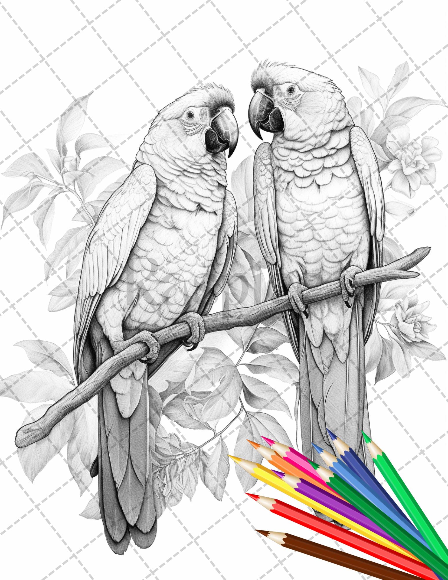 Tropical birds coloring book for adults grayscale coloring page p â coloring