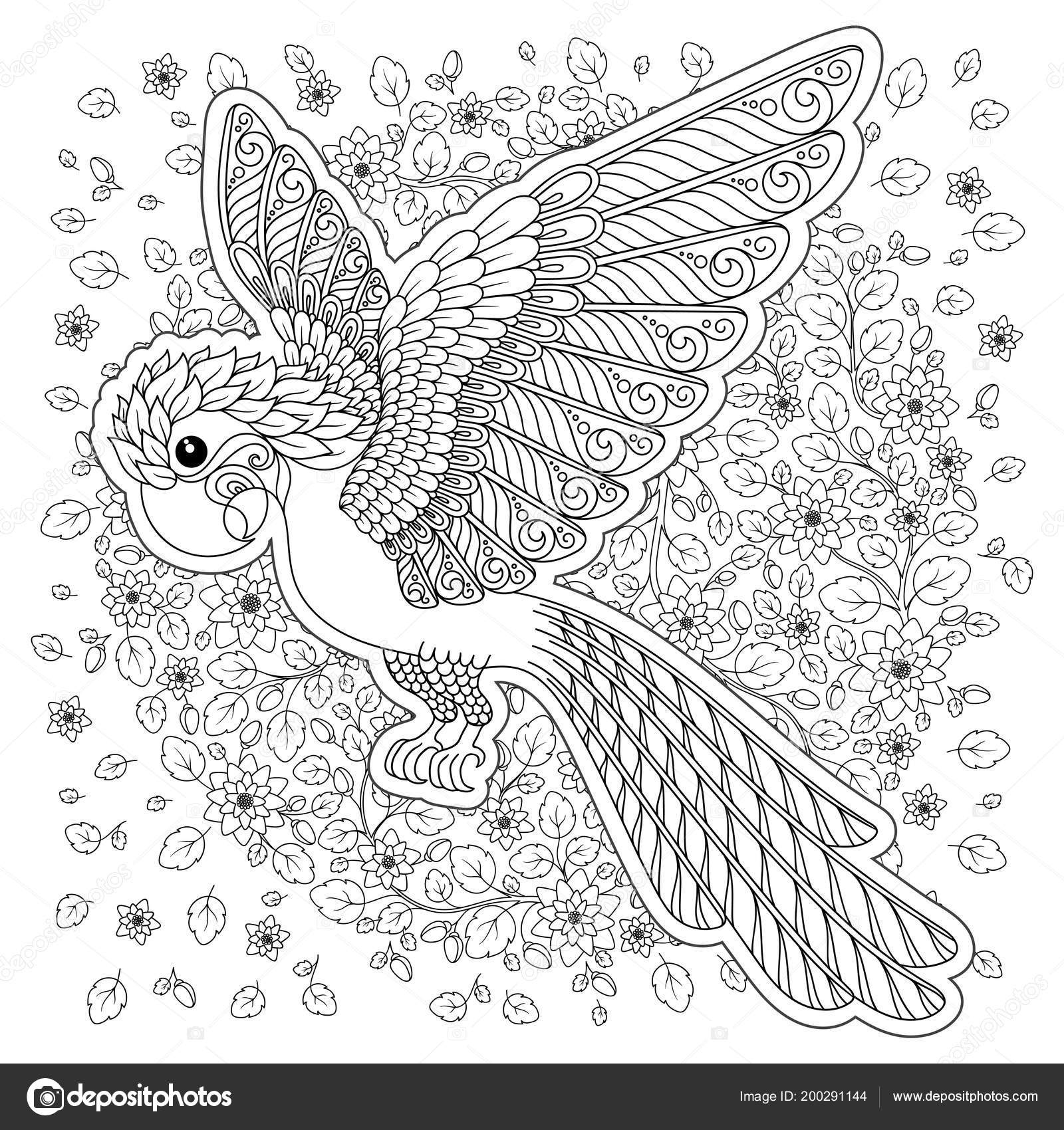Parrot tropical bird vector illustration coloring book adult older children stock vector by karpenyuk