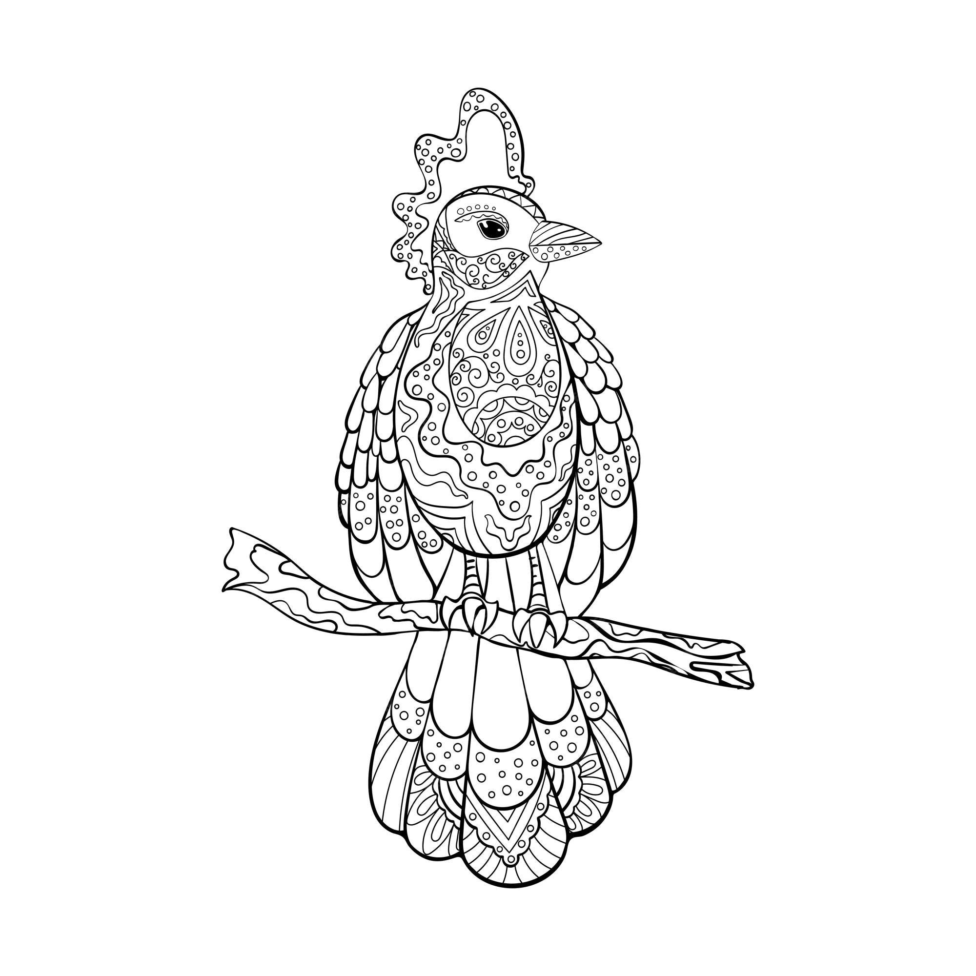 Premium vector tropical bird coloring page zentangle outline fantasy line art with ornamental details