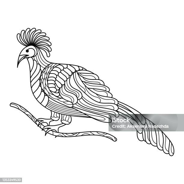 Tropical exotic bird coloring book page hand drawn anti stress linear illustration vector line art design stock illustration