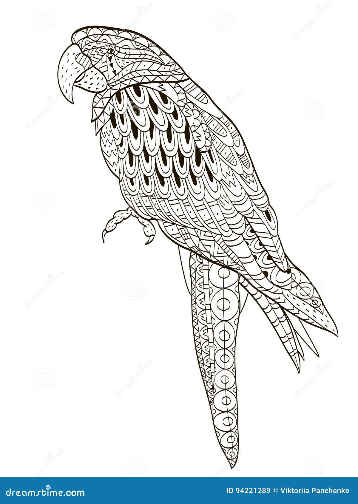 Parrot tropical bird vector illustration coloring book for adult and older children coloring page outline drawing stock vector