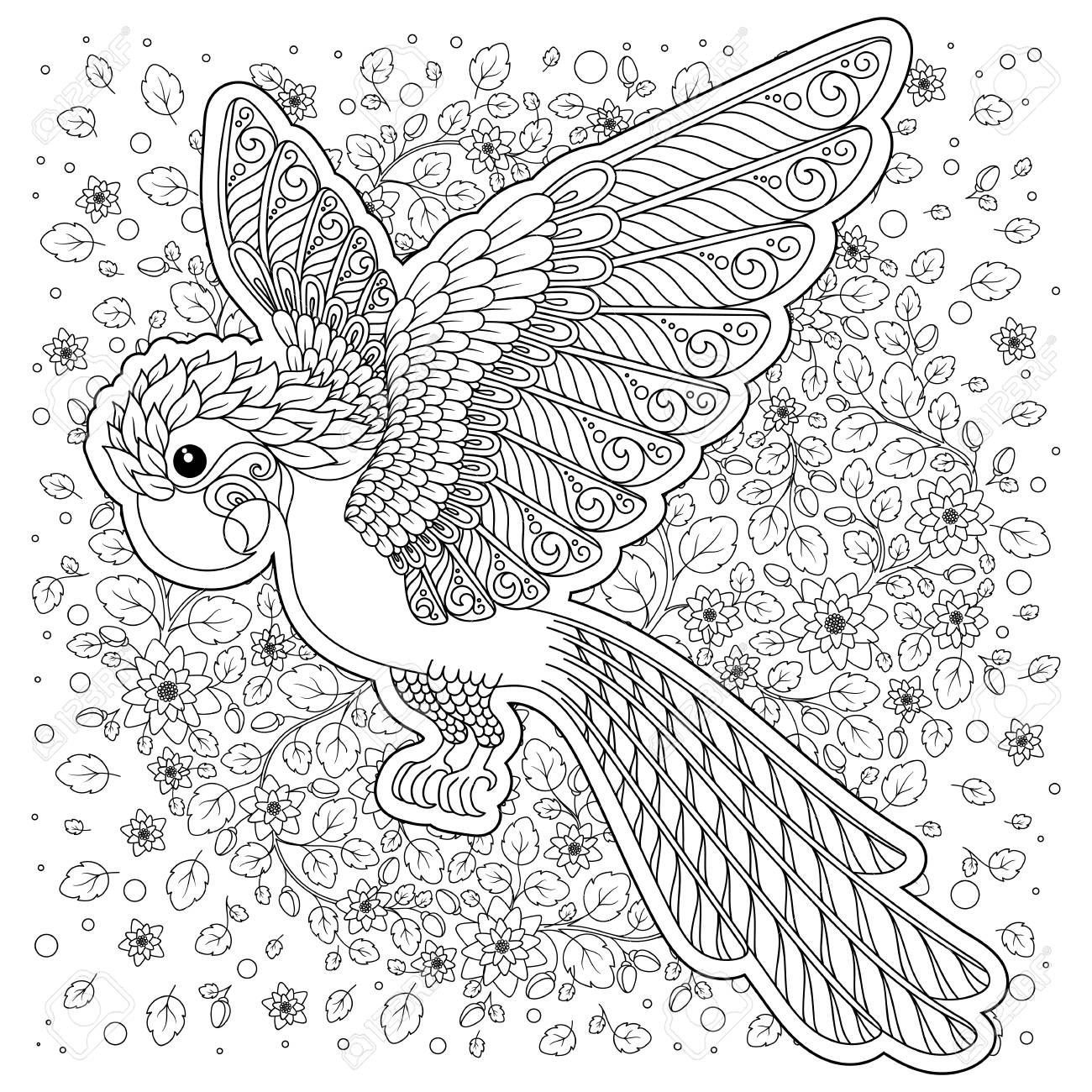 Parrot tropical bird vector illustration coloring book for adult and older children coloring page outline drawing royalty free svg cliparts vectors and stock illustration image