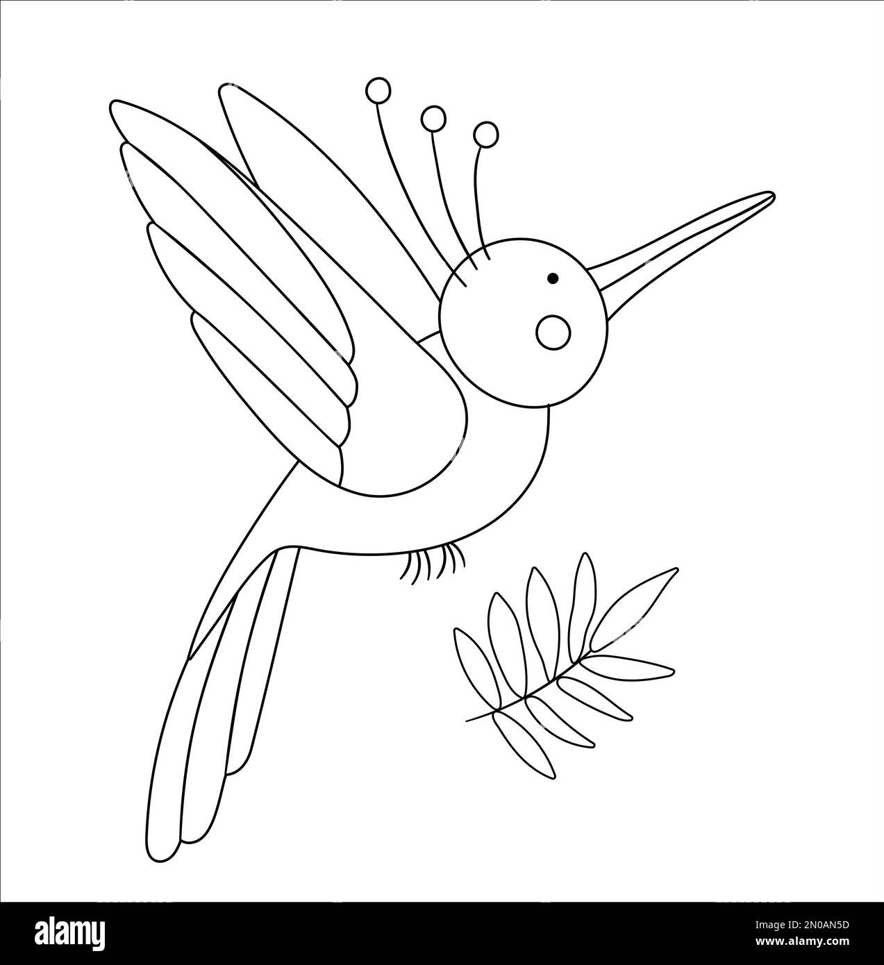 Vector cute paradise bird outline funny tropical exotic animal black and white illustration fun coloring page for children jungle summer clip art stock vector image art