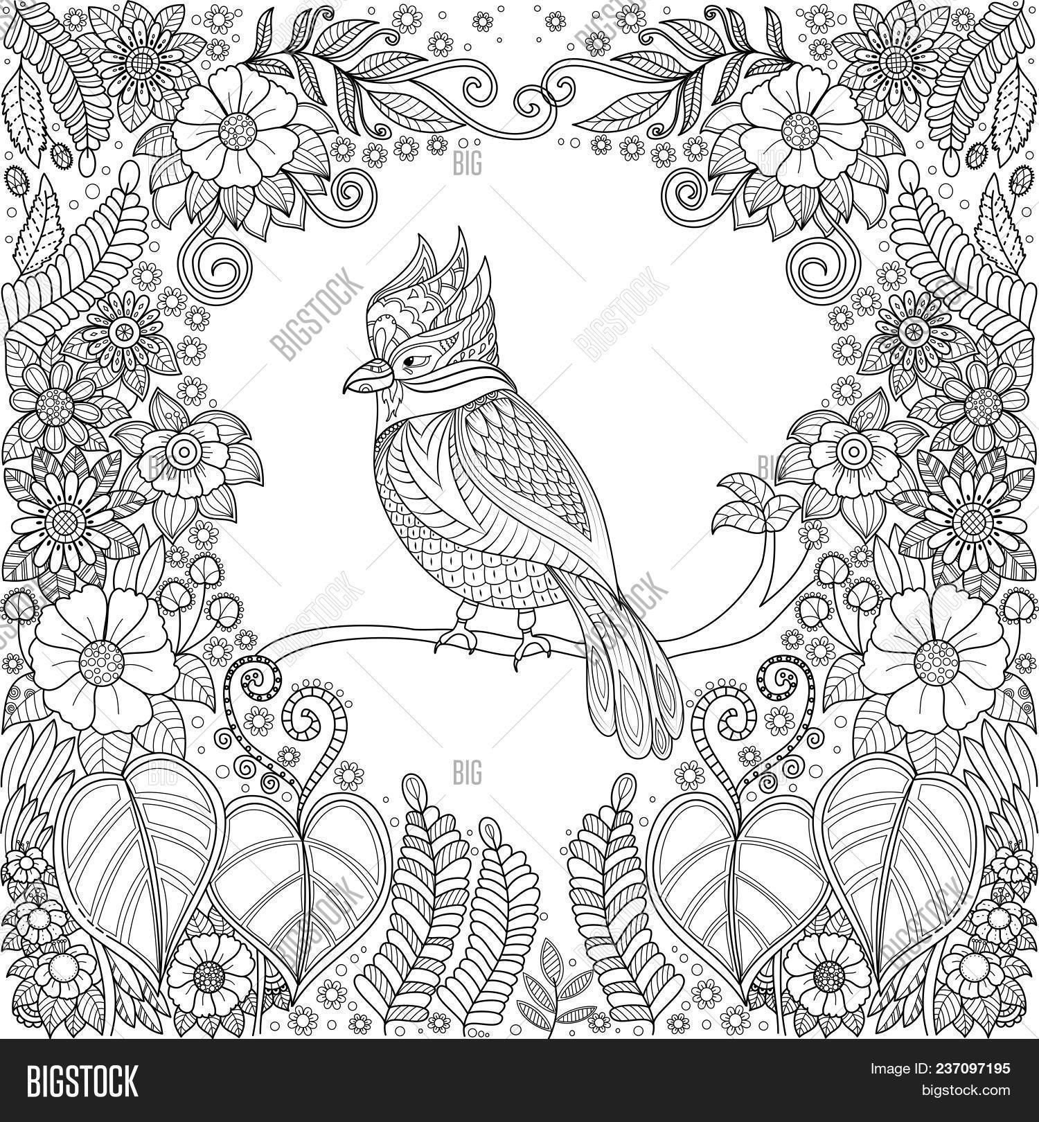 Tropical bird vector photo free trial bigstock