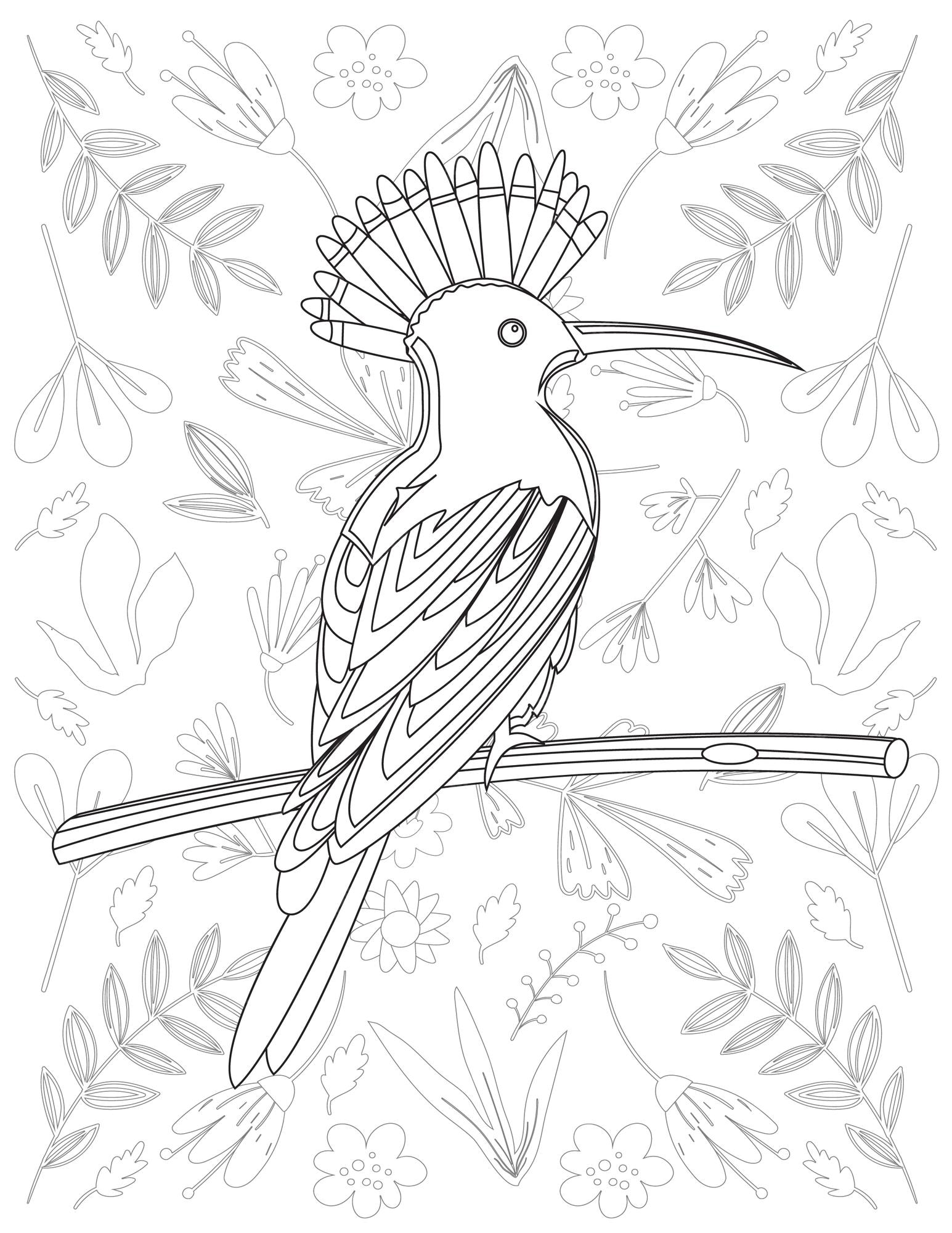 Premium vector bird coloring page bird vector bird white and black bird coloring for kids