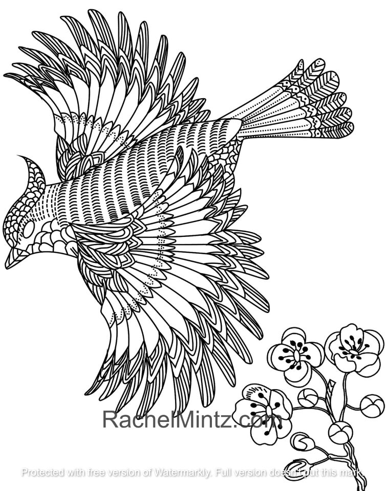 Paradise birds