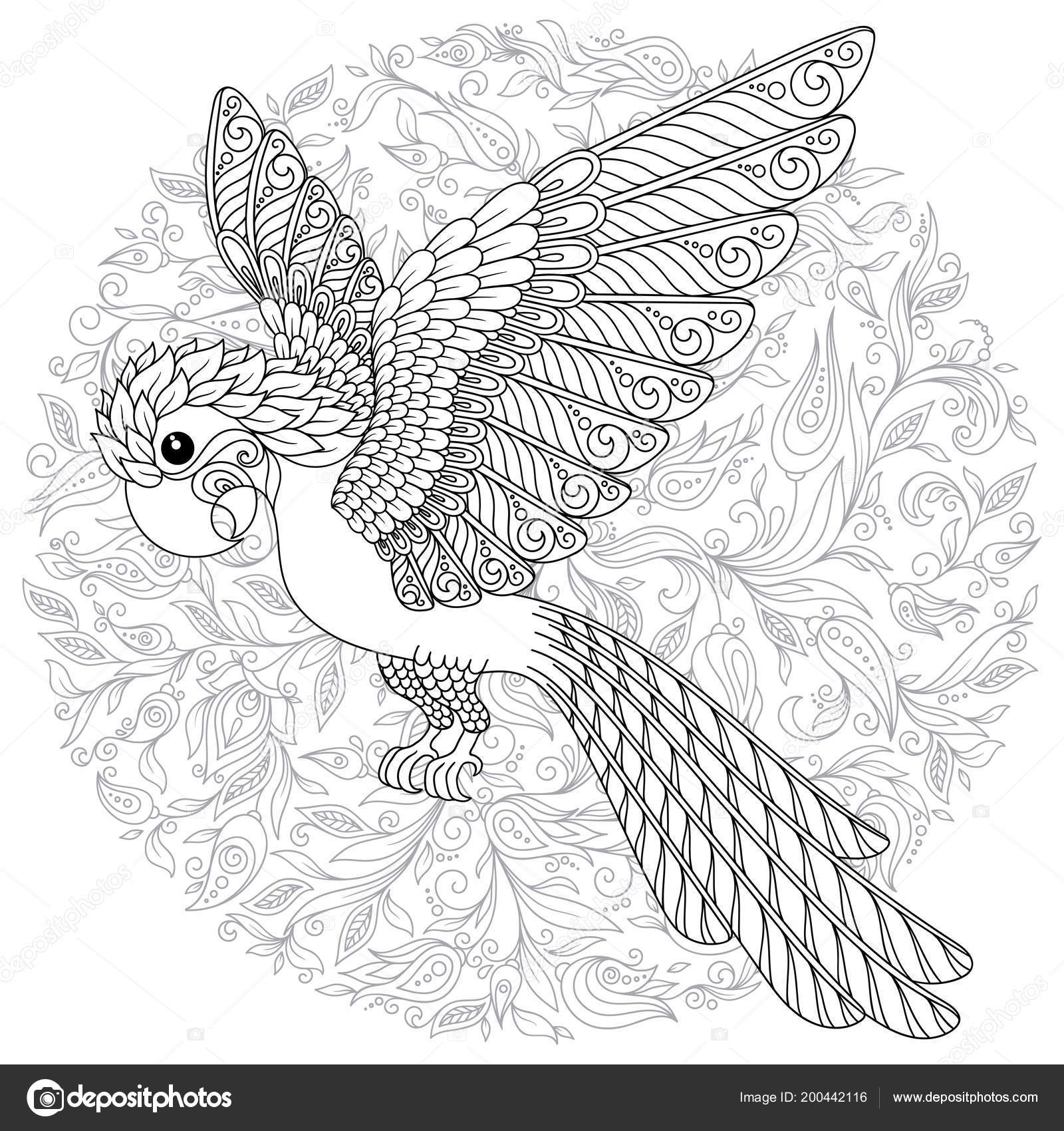 Parrot tropical bird vector illustration coloring book adult older children stock vector by karpenyuk