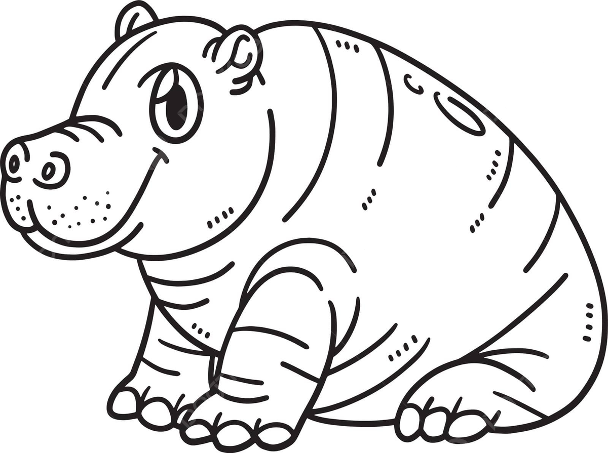 Baby hippo isolated coloring page for kids mammal nature animal vector animal drawing baby drawing ring drawing png and vector with transparent background for free download