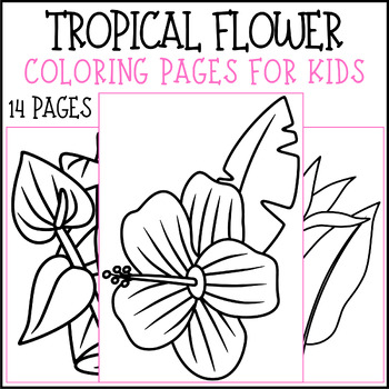 Tropical flower coloring pages for kids morning work by mind games studio