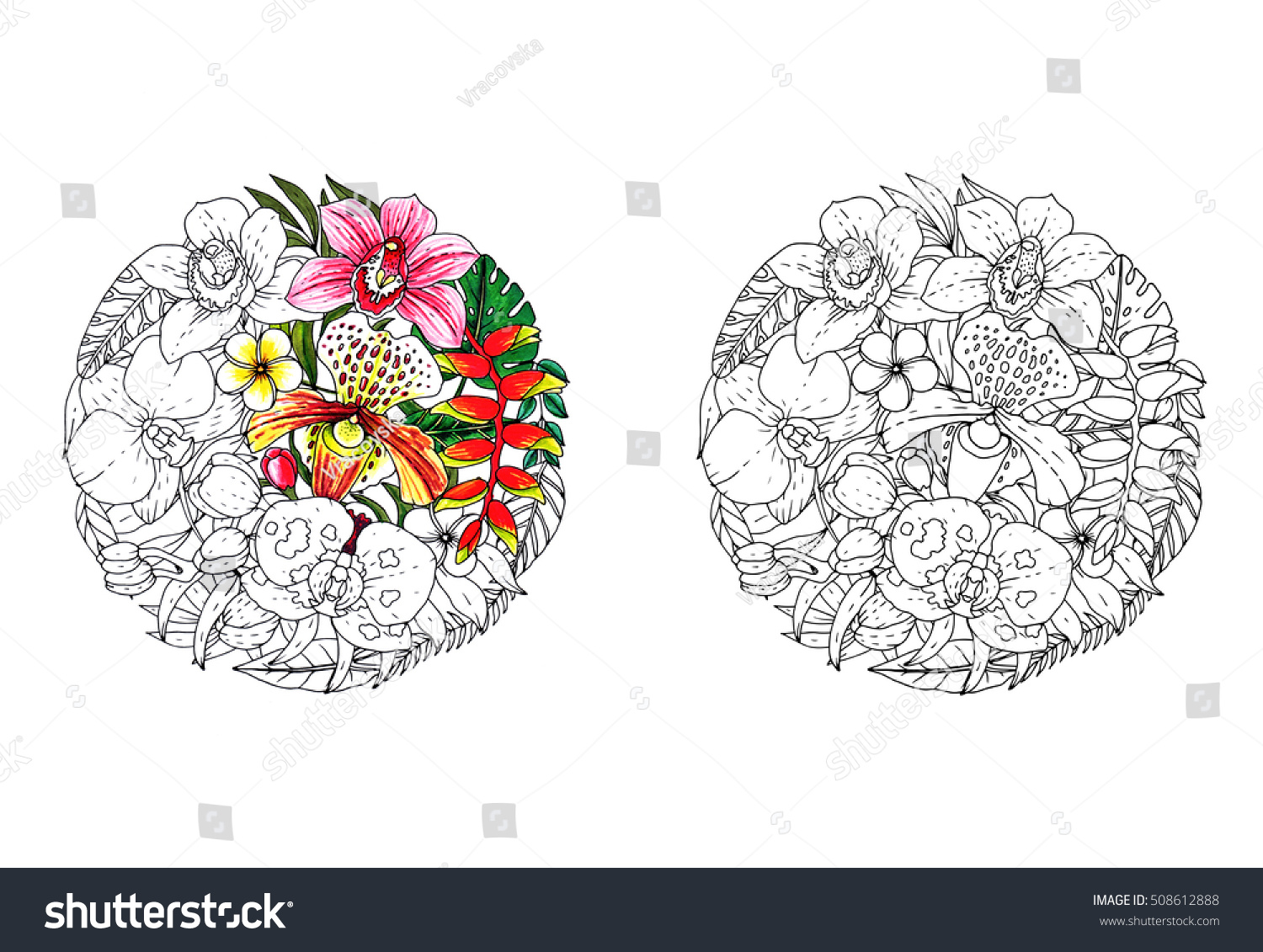 Hakuun tropical flowers coloring book page coloring liittyvã kuvituskuva