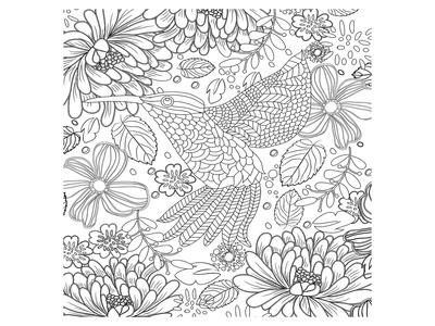 Colibri tropical flower coloring art prints