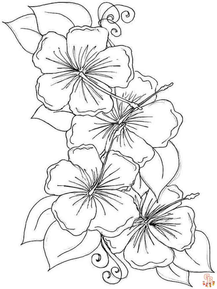 Discover the joy of coloring with hibiscus coloring pages