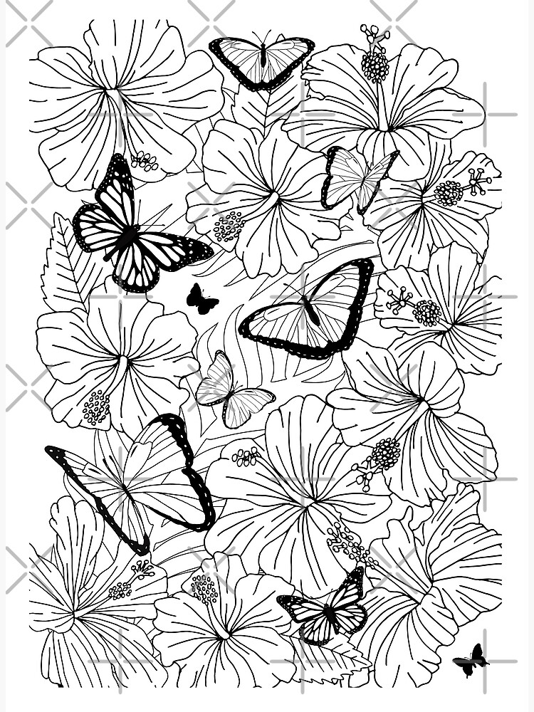Butterflies and tropical flowers colouring page poster for sale by hothibiscus