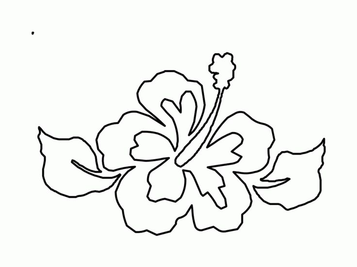Tropical flowers