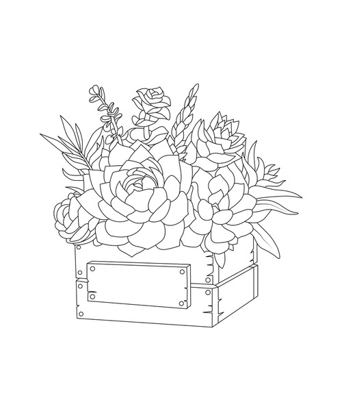 Adult coloring book tropical flowers images stock photos d objects vectors