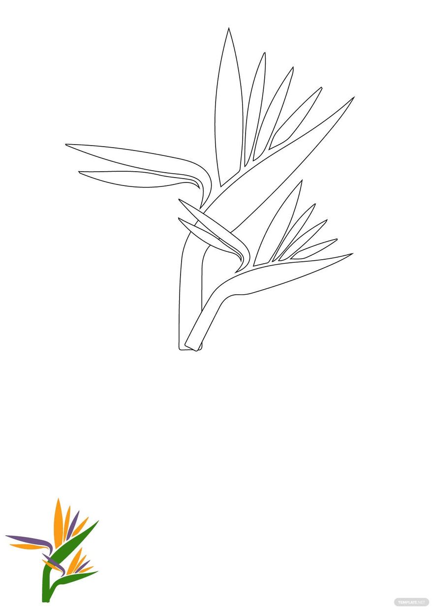 Free tropical flower coloring page