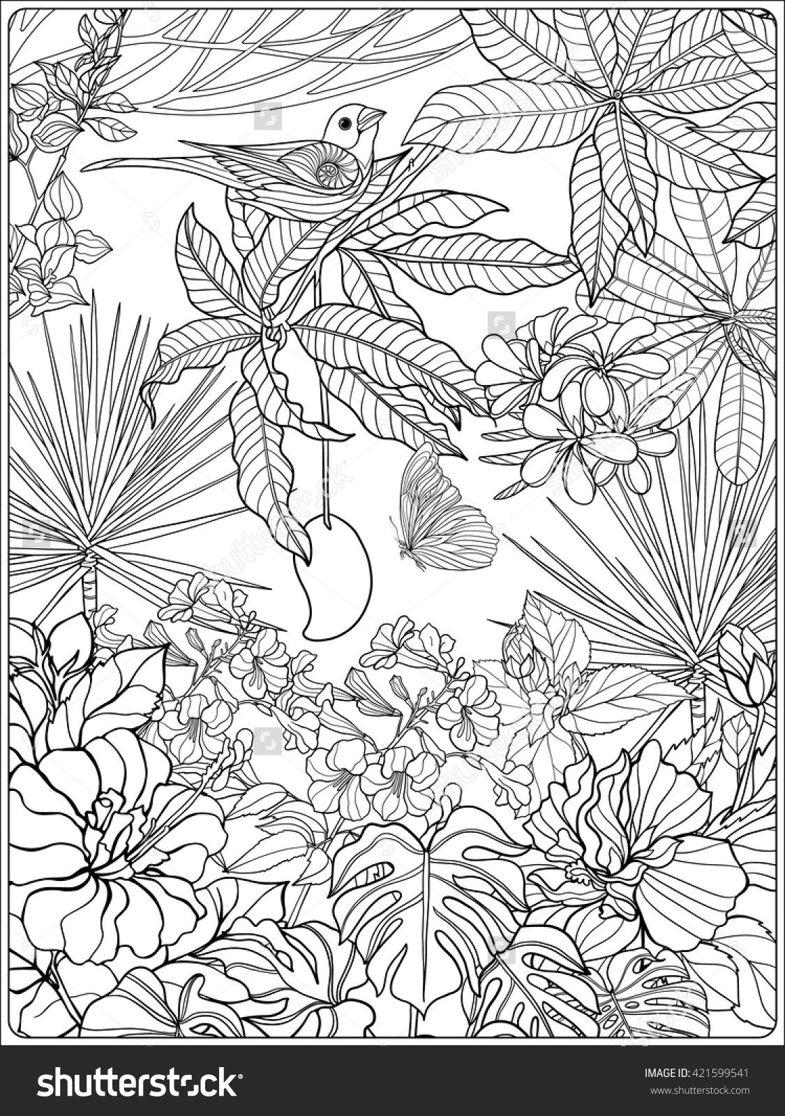 Tropical wild birds plants tropical garden stock vector royalty free shutterstock bird colorg pages garden colorg pages colorg pages