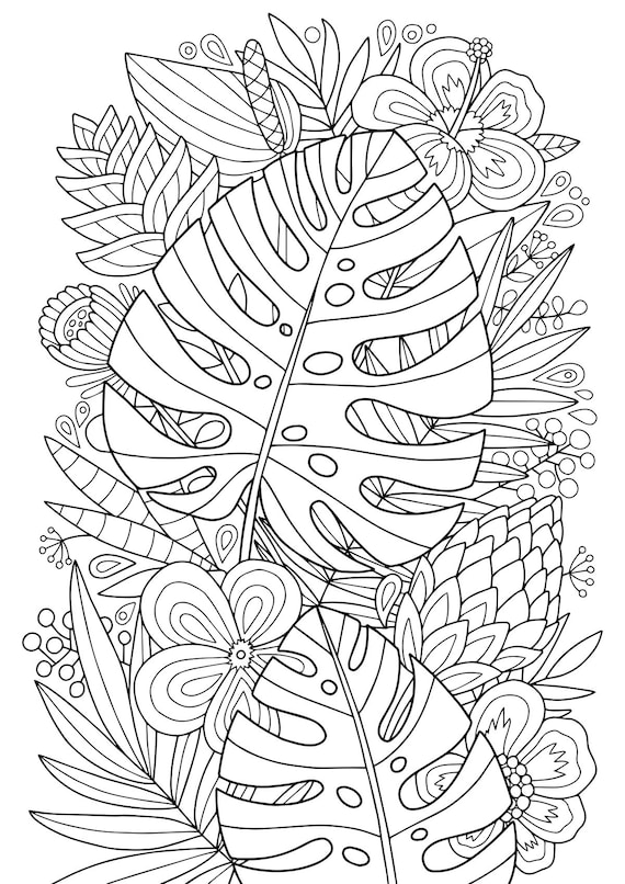 Adult coloring page monstera tropics doodle art diy coloring poster printable pdf instant download