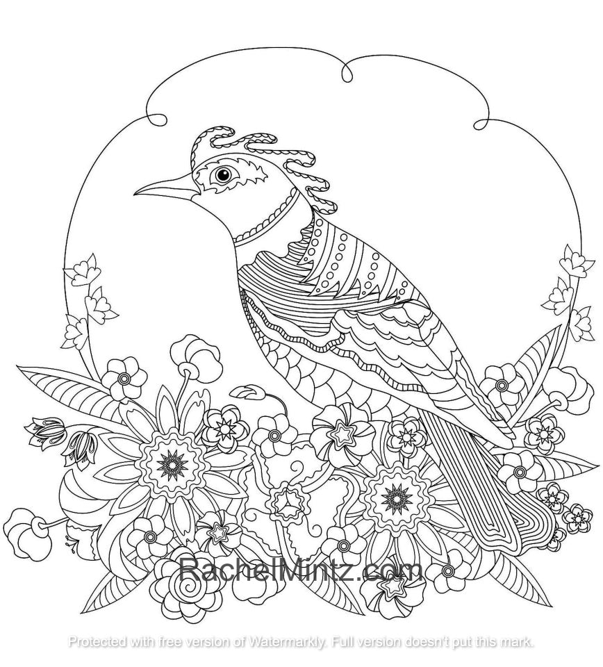 Paradise birds