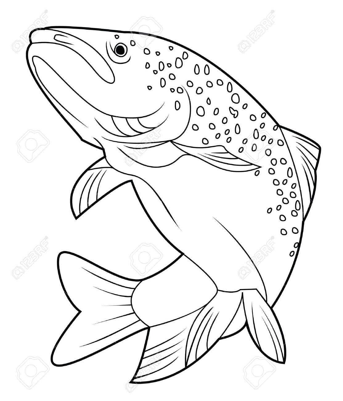 Salmon fish royalty free svg cliparts vectors and stock illustration image