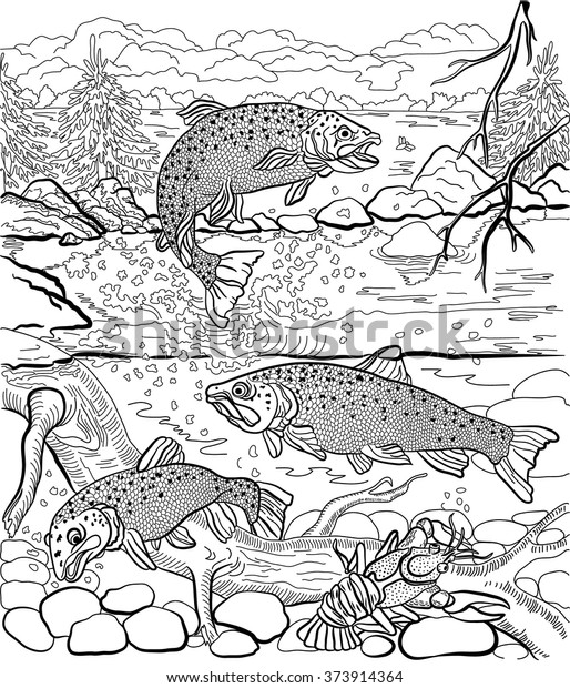 Underwater life on river trout cancer stock vector royalty free