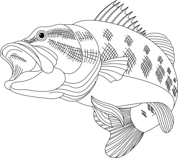 Trout coloring page vector images
