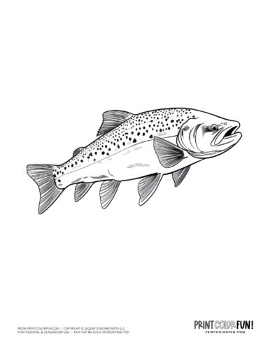 Free fish coloring pages color clipart swim through a sea of creativity activities at