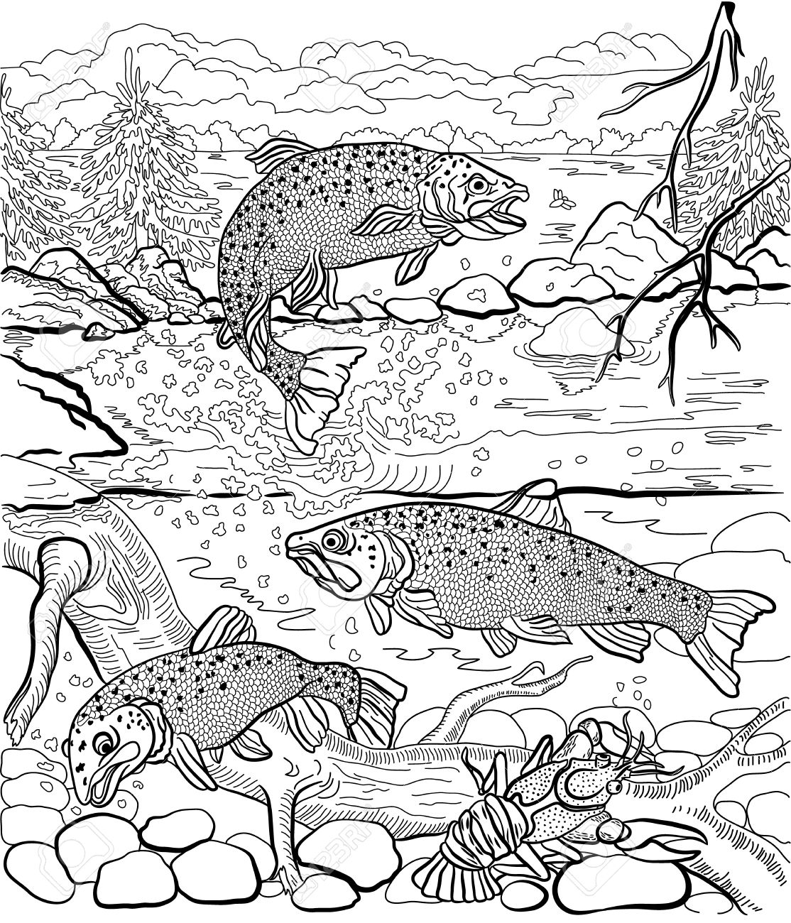 Underwater life on the river trout and cancer swim under water in the background depicts a forest landscape hand drawn coloring page royalty free svg cliparts vectors and stock illustration image