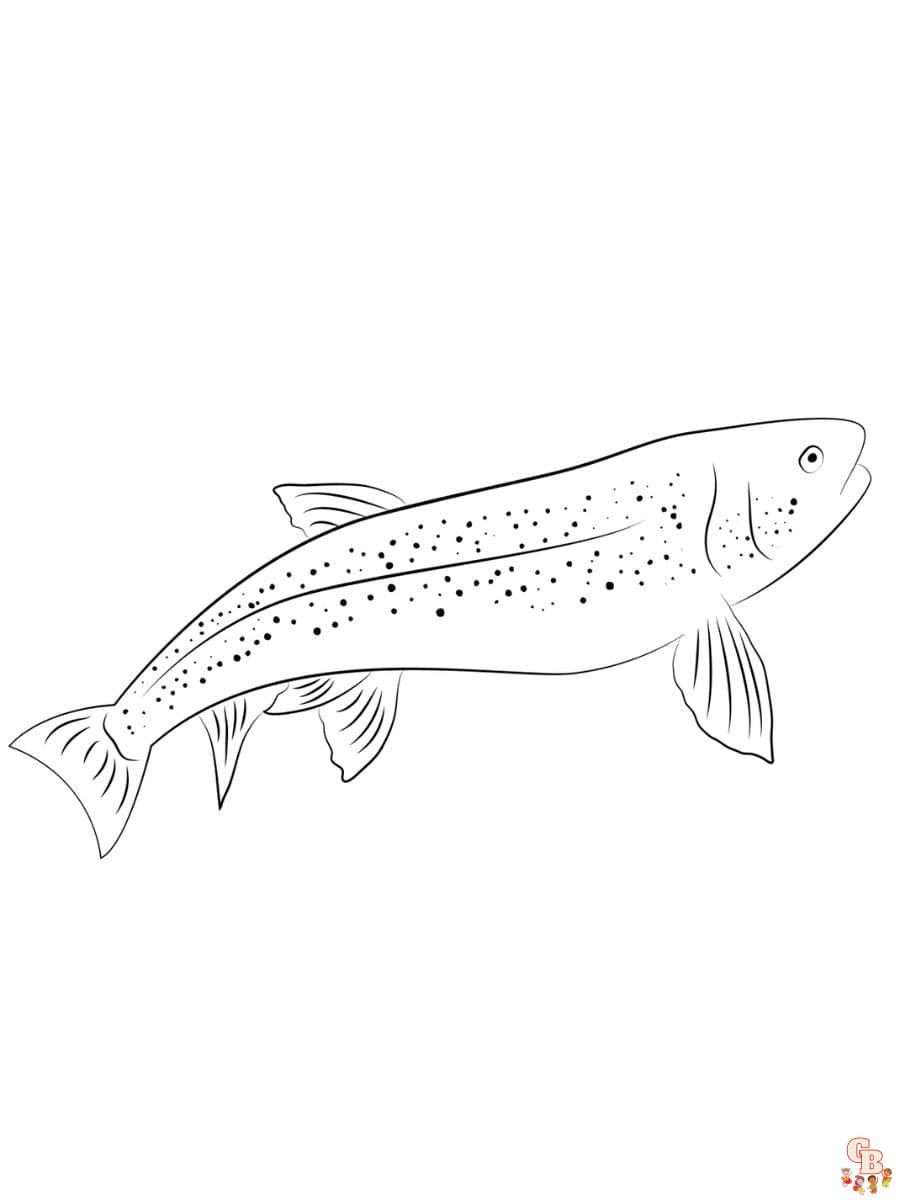 Printable trout coloring pages free for kids and adults