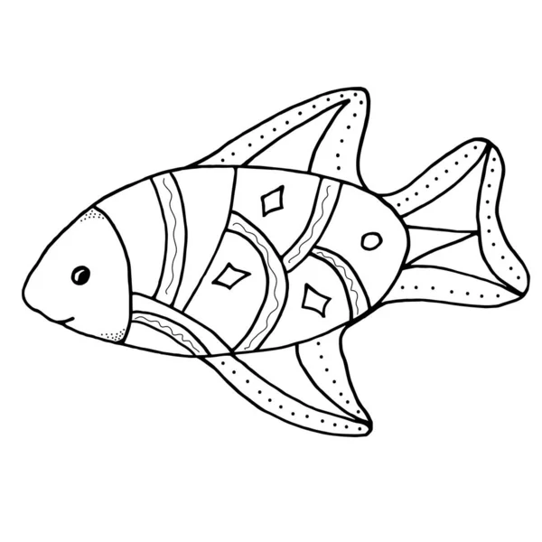 Trout coloring page vector images