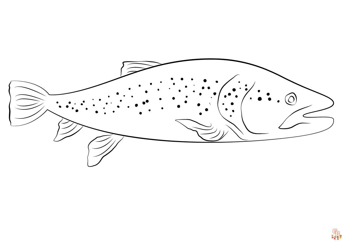 Printable trout coloring pages free for kids and adults