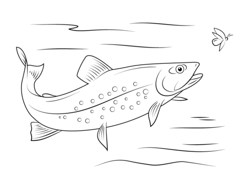 Brook trout coloring page free printable coloring pages
