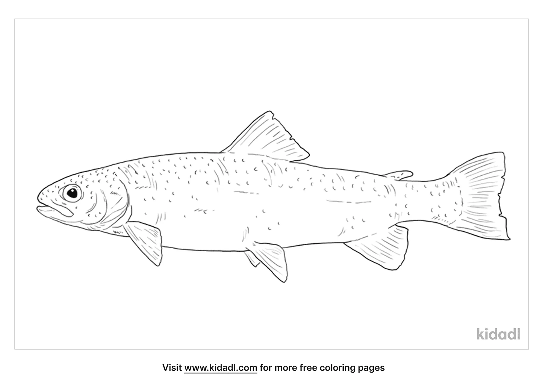 Free rainbow trout coloring page coloring page printables