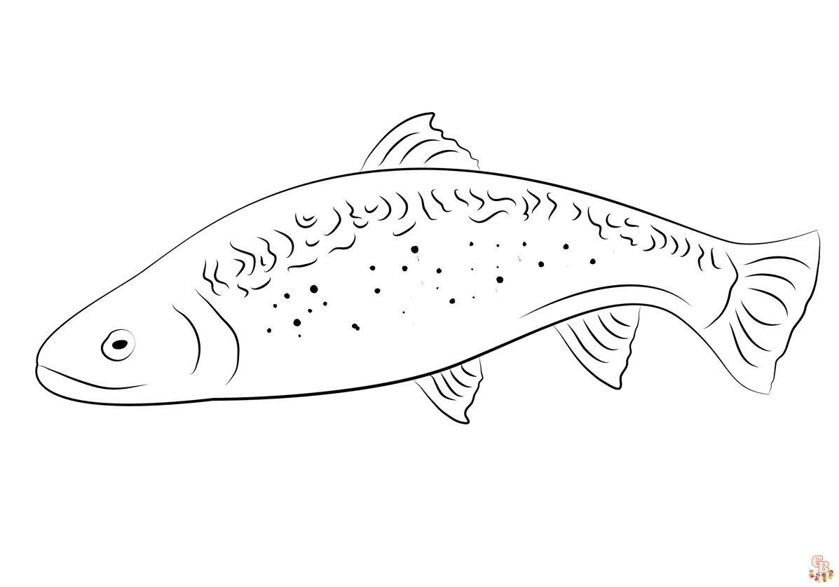 Printable trout coloring pages free for kids and adults