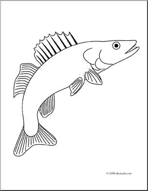 Clip art freshwater fish walleye coloring page i