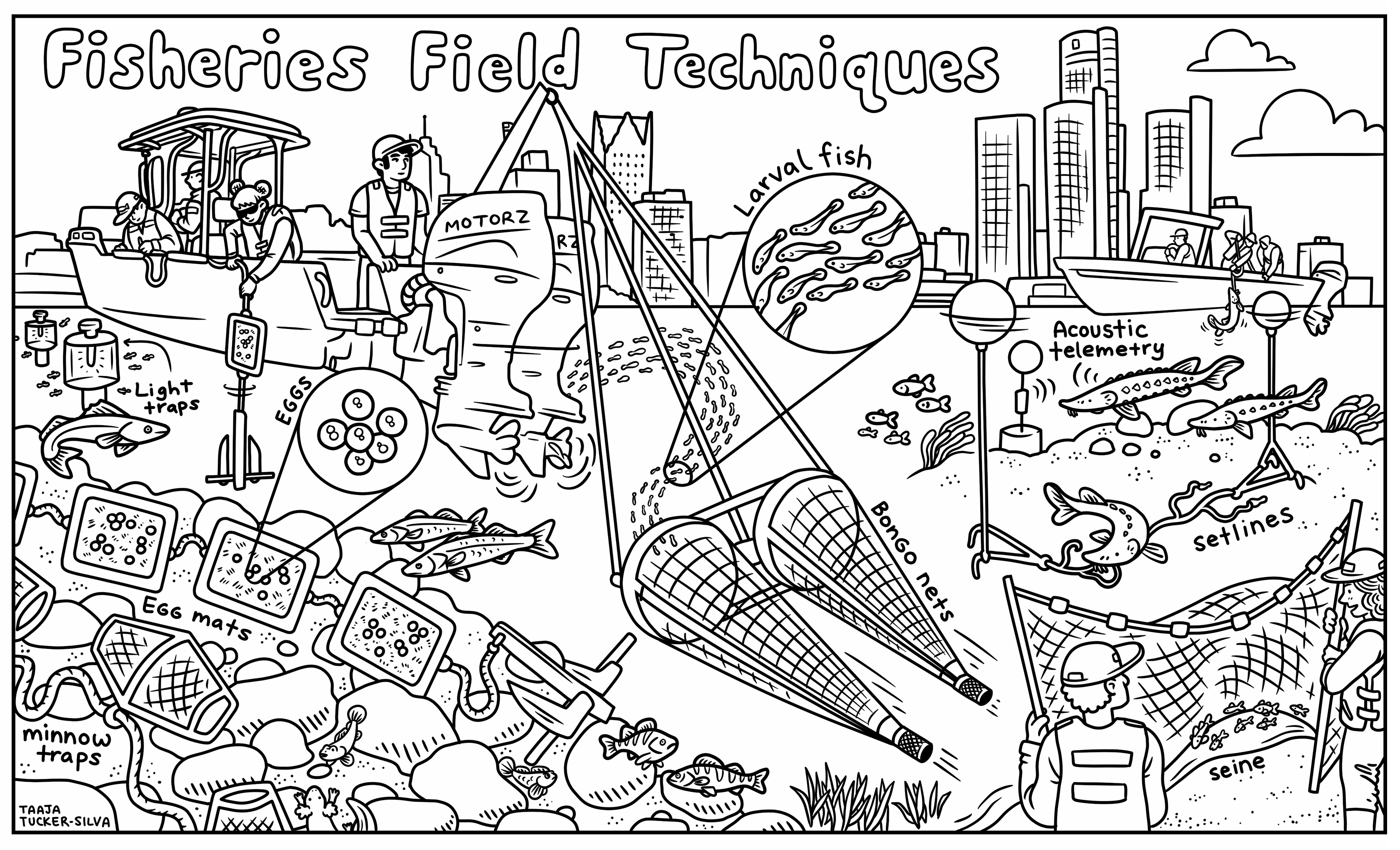 Coloring sheets â taaja tucker