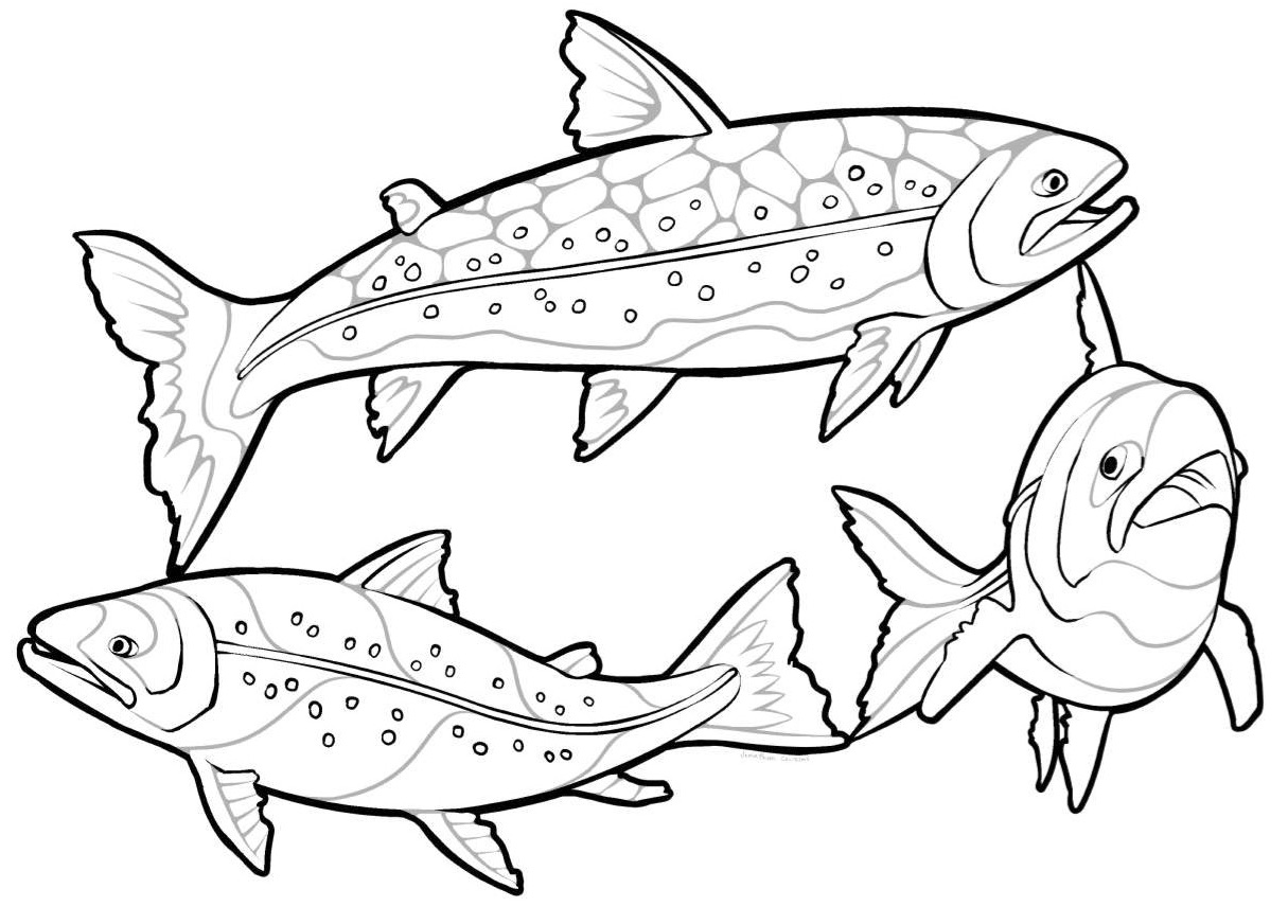 Itk shares free colouring pages for kids news