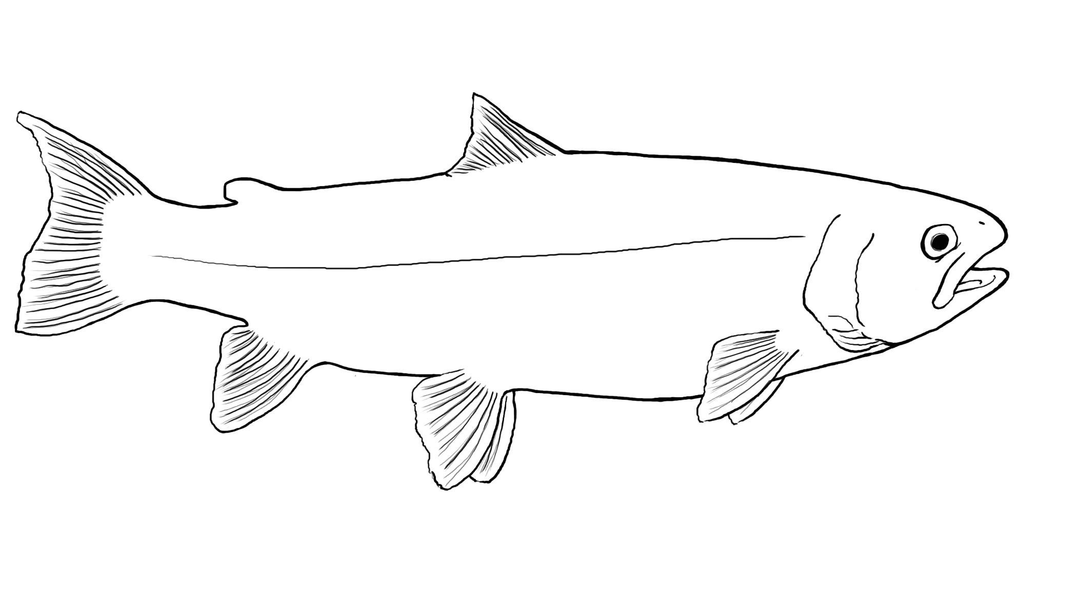 Classroom aquarium curriculum aids